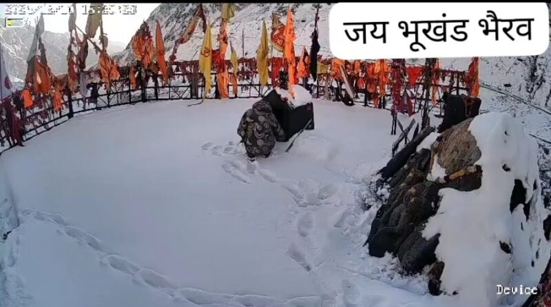 केदारनाथ धाम में भकुंट भैरव में दानपात्र से छेड़छाड़ करने का वीडियो हो रहा वायरल, हो रही कार्रवाई की मांग